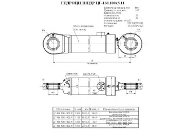 ЦГ-160.100х1000.11