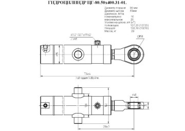 ЦГ-80.50х400.31-01