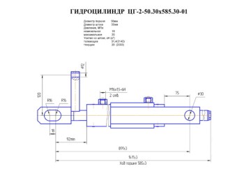 ЦГ2-50.30х585.30-01