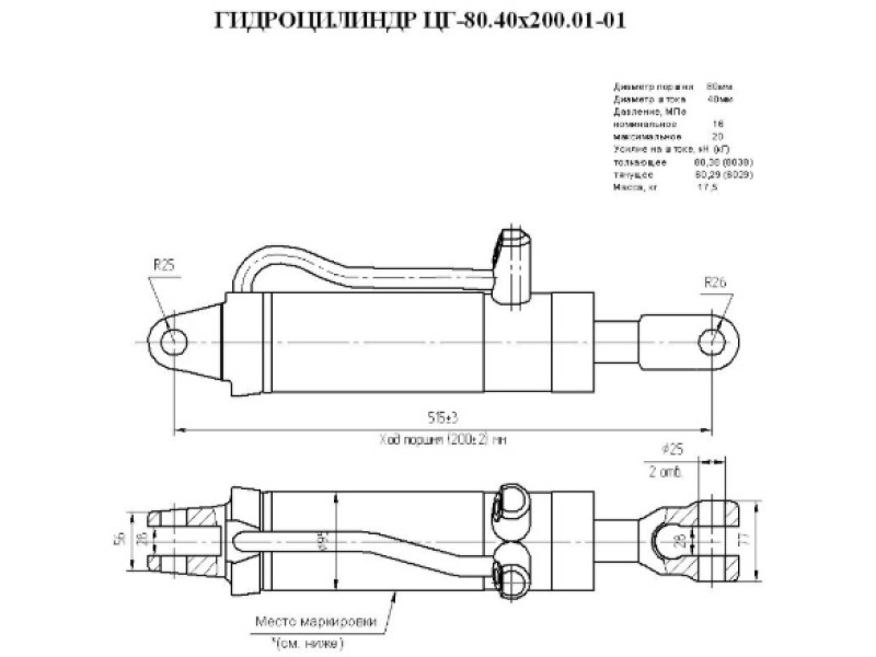 ЦГ-80.40х200.01-01
