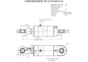 ЦГ-125.70х400.11-01