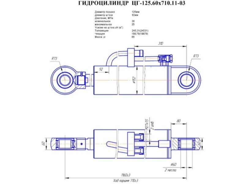 ЦГ-125.60х710.11-03