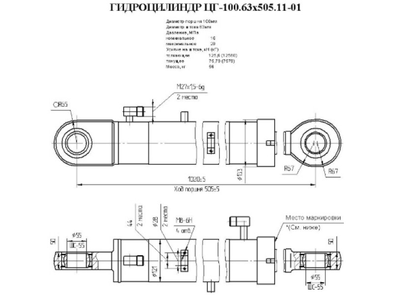 ЦГ-100.63х505.11-01