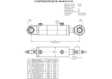 ЦГ-80.40х500.11