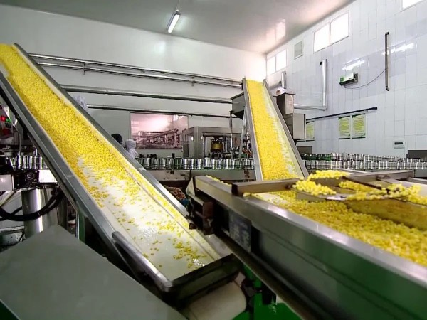 Гидравлическое оборудование для предприятий переработки плодоовощной продукции